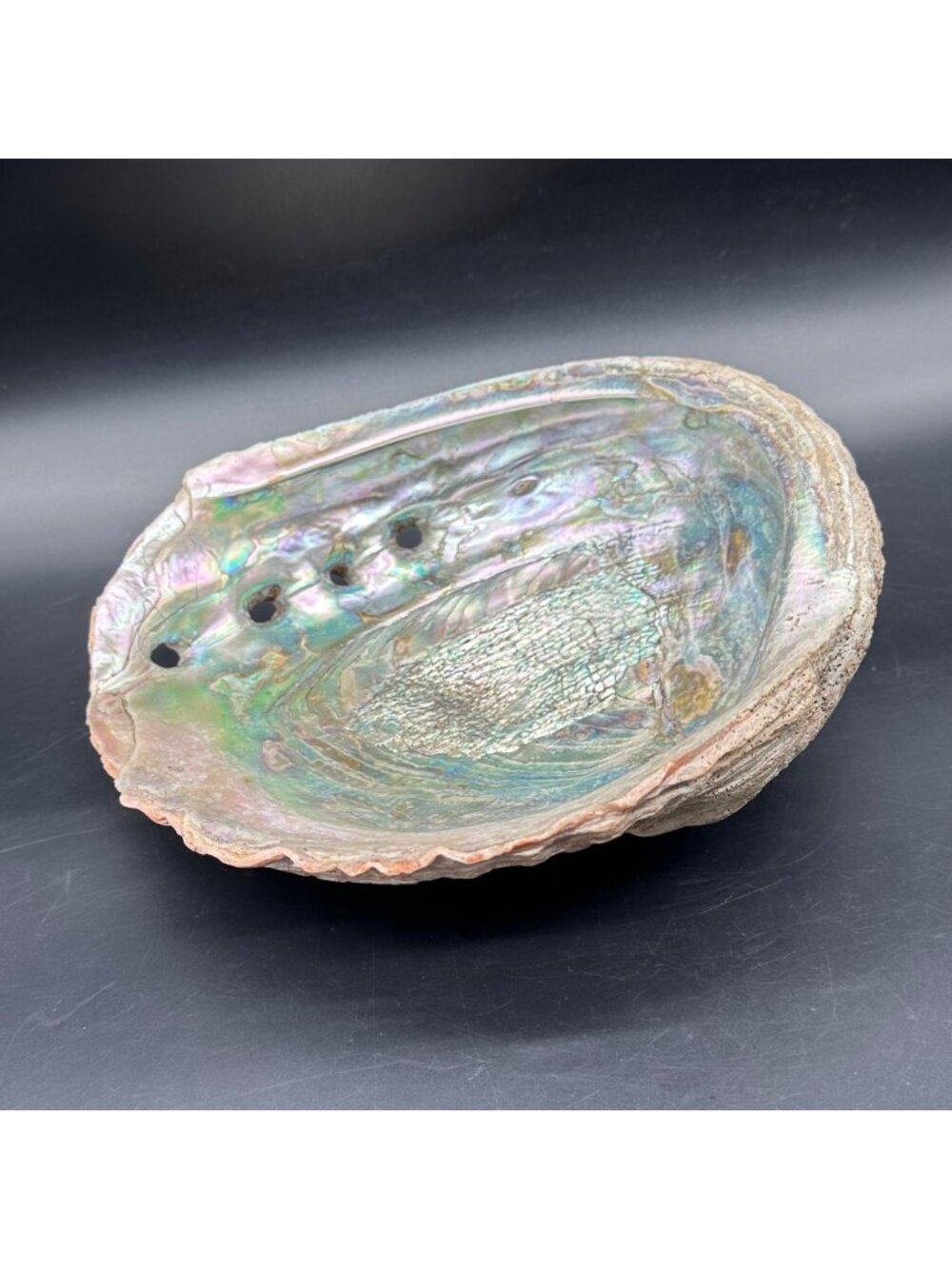 Natural Abalone Sea Shell Iridescent Rainbow Decorative Bowl Trinket Dish